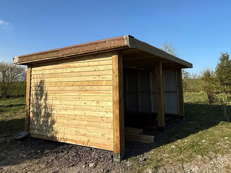 Field Shelter in secure dog field just outside of Hendred, between Wantage and Didcot