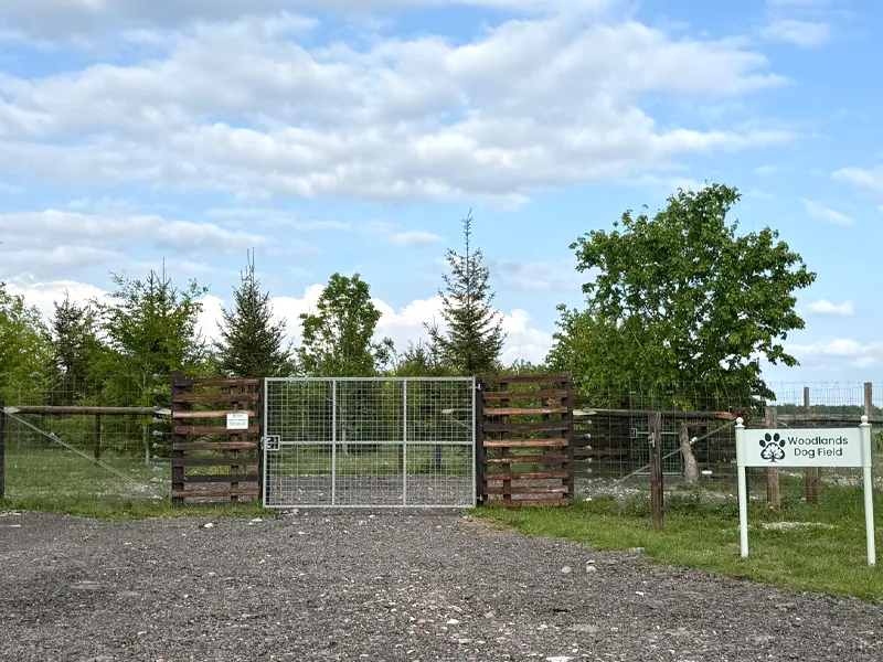 Secure Dog Field for Exclusive Hire, Near Hendred, Harwell, Steventon, Wantage & Didcot